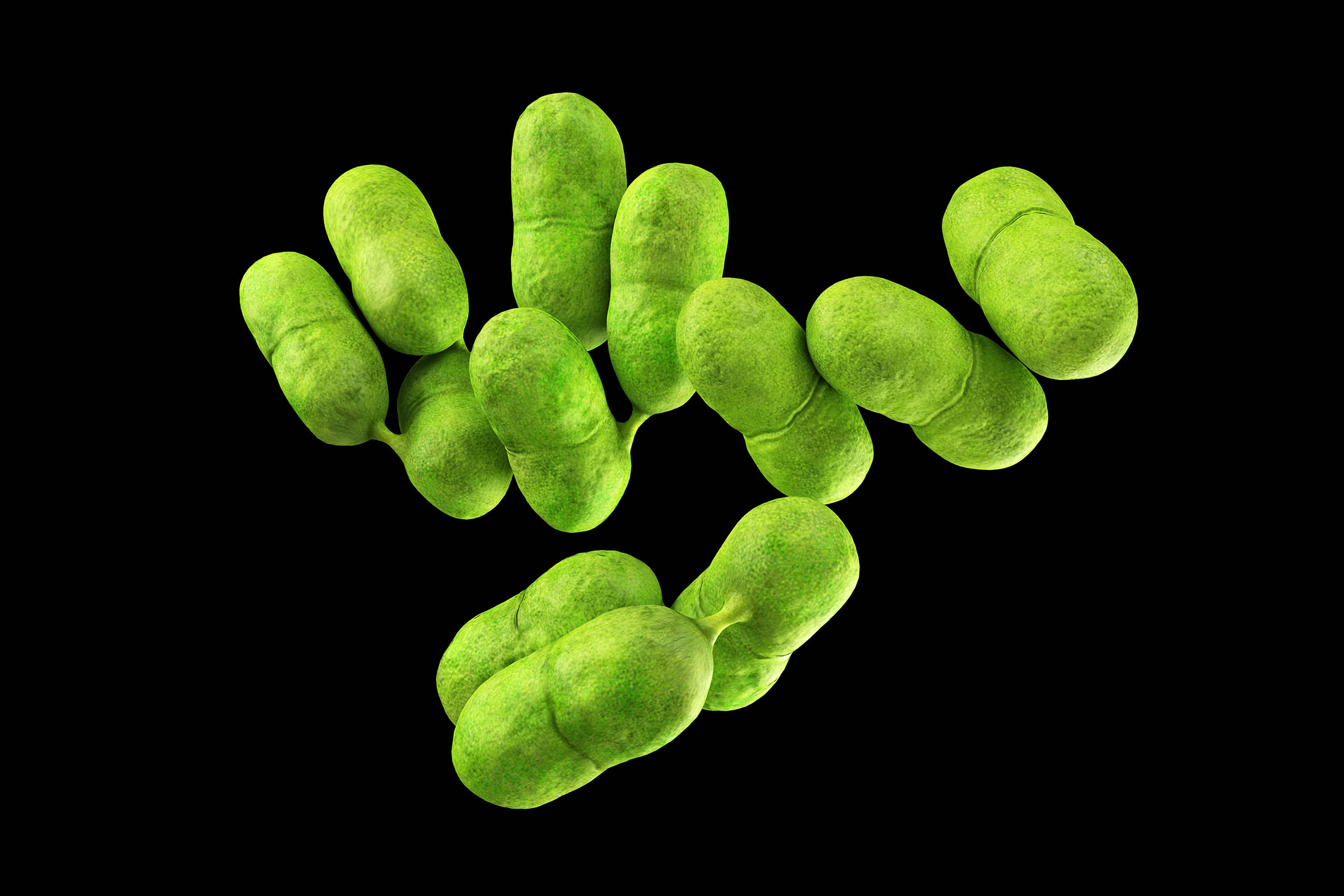 Listeria outbreak tied to Yu Shang Food leaves California infant dead and 10 people sick