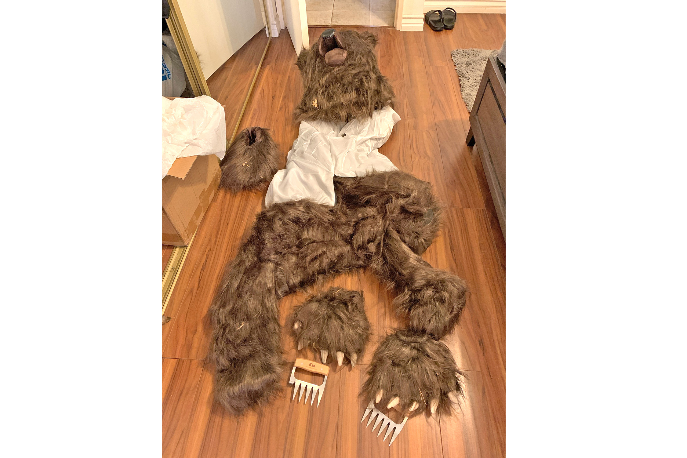 Insurers say bear that damaged luxury cars was actually a person in a costume